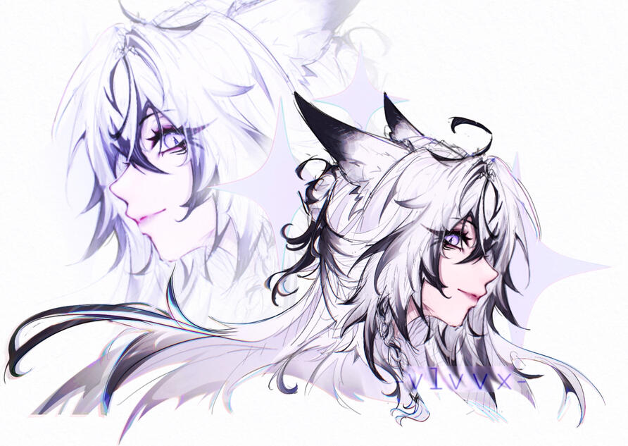 OC Void
